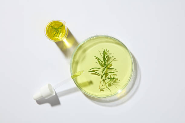 tea tree olej na misce